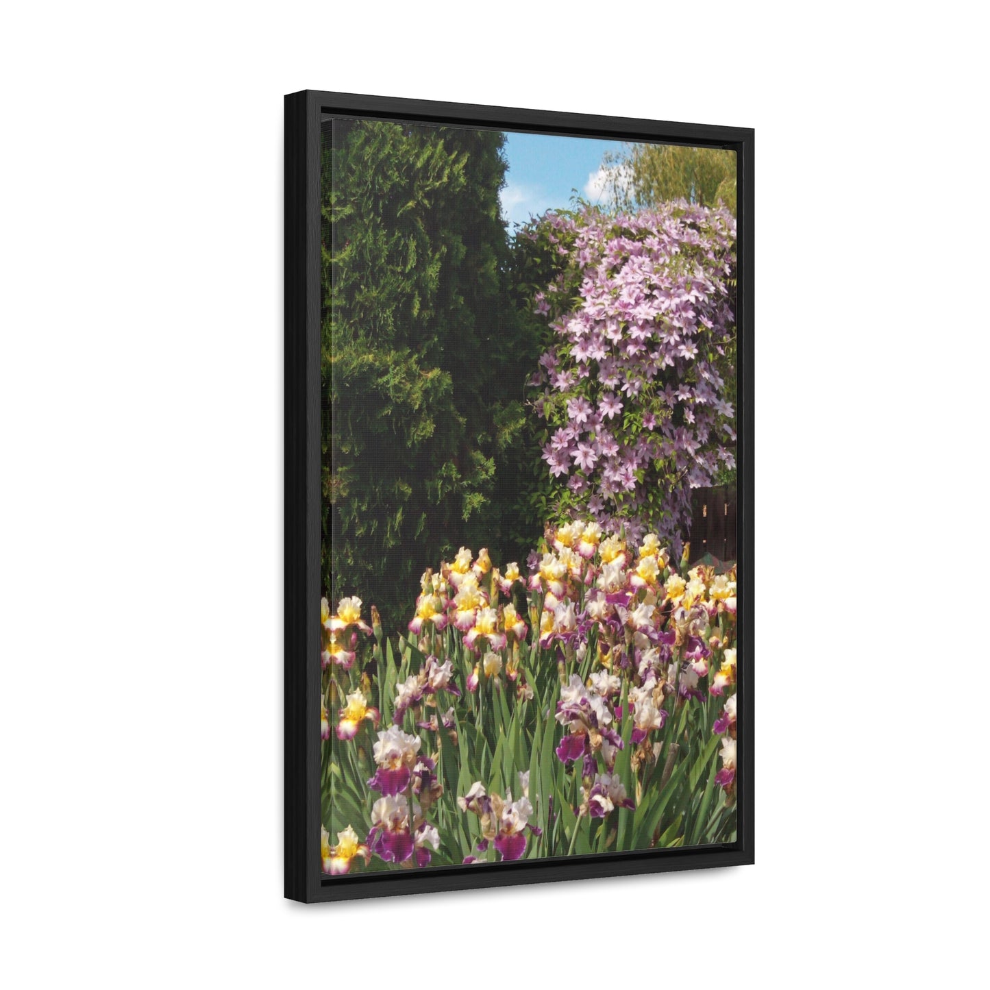 Sunny Iris Garden Gallery Canvas Wraps Framed