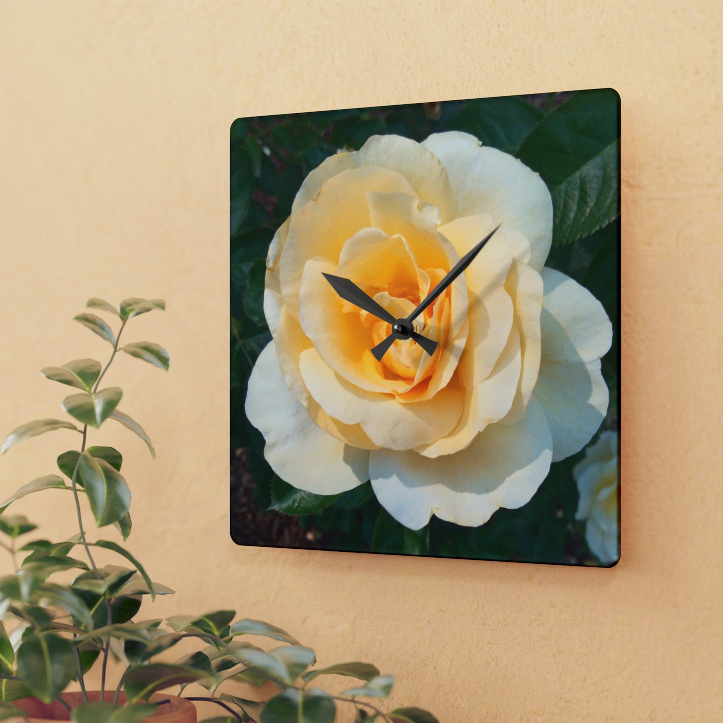 Cream Rose Acrylic Wall Clock