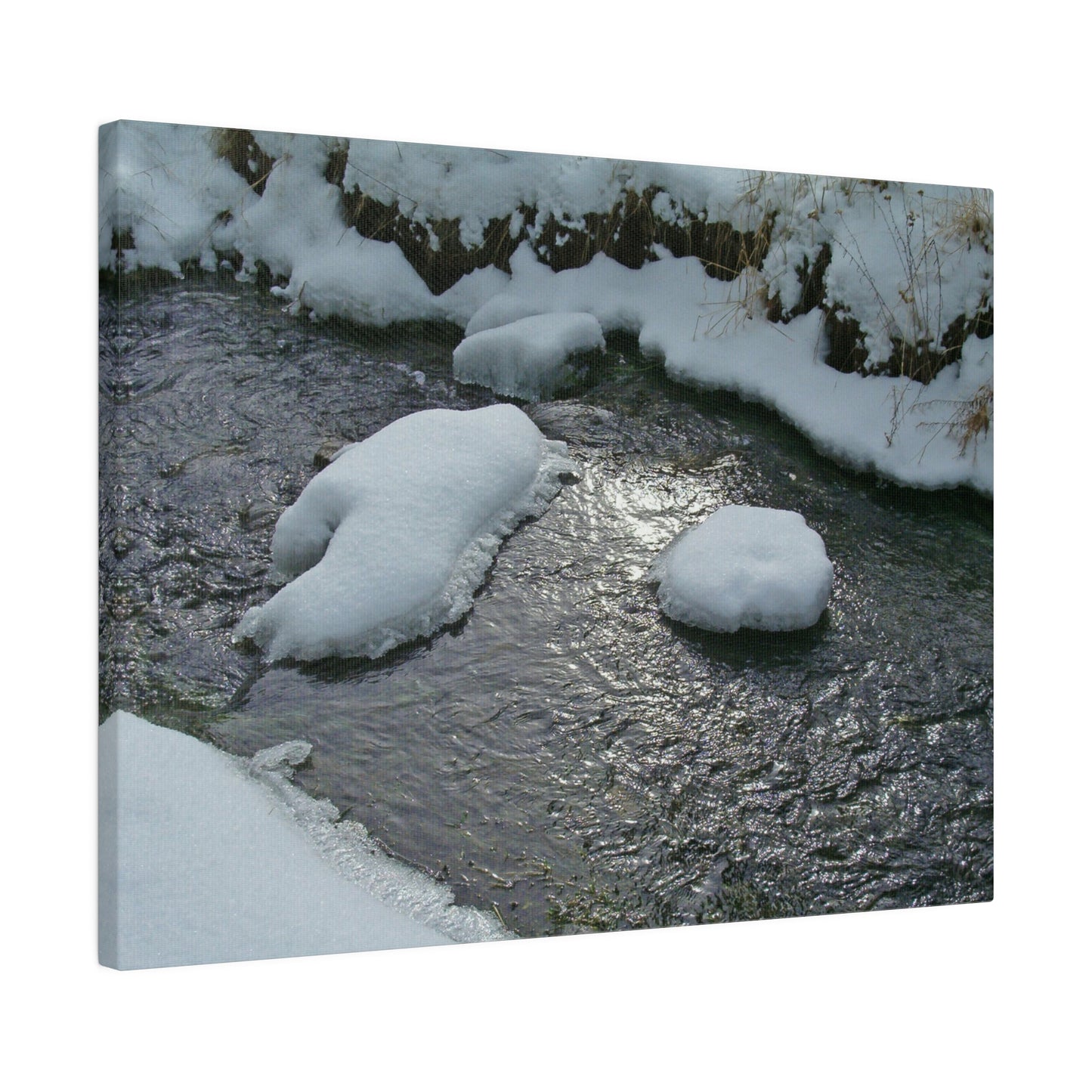 Winter Reflection Matte Canvas
