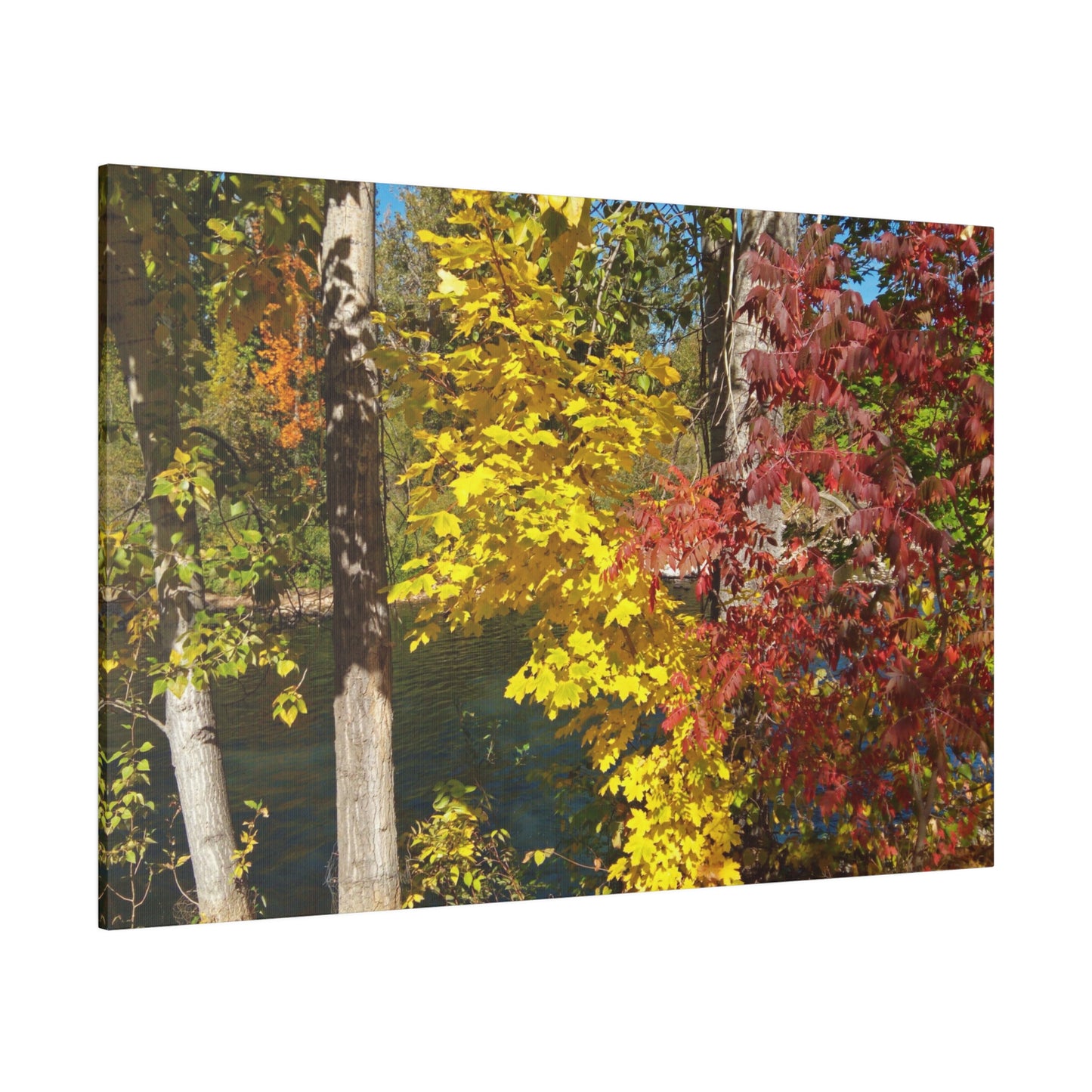 River & Autumn Leaves Matte Canvas