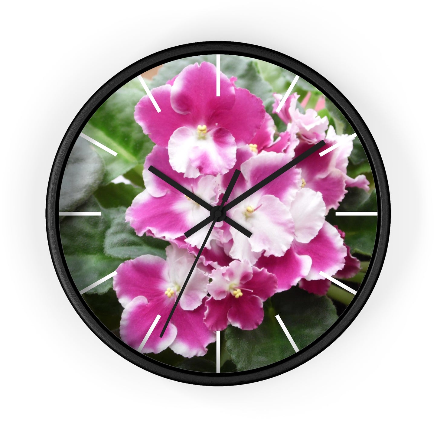 African Violet Framed Wall Clock