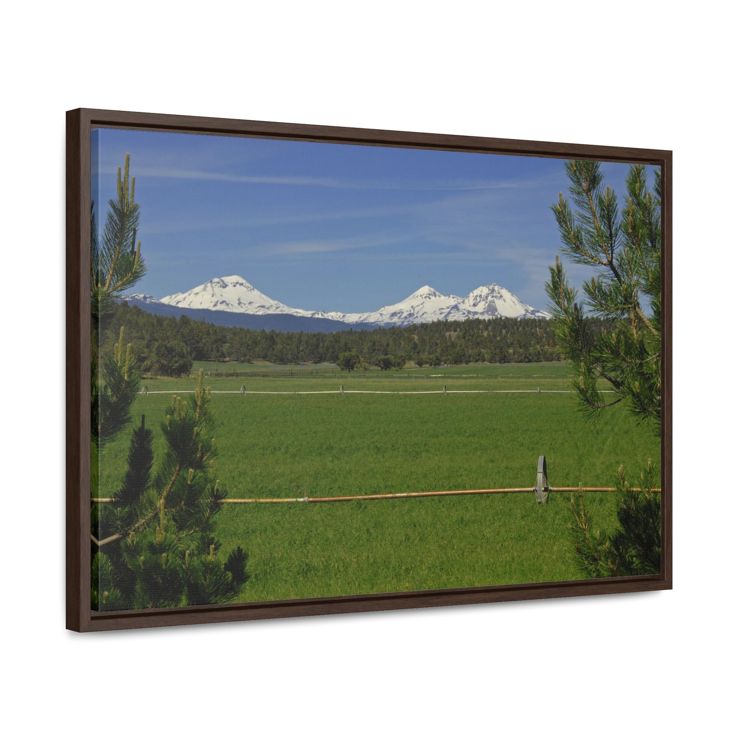 Mountain Pasture Gallery Canvas Wrap Framed