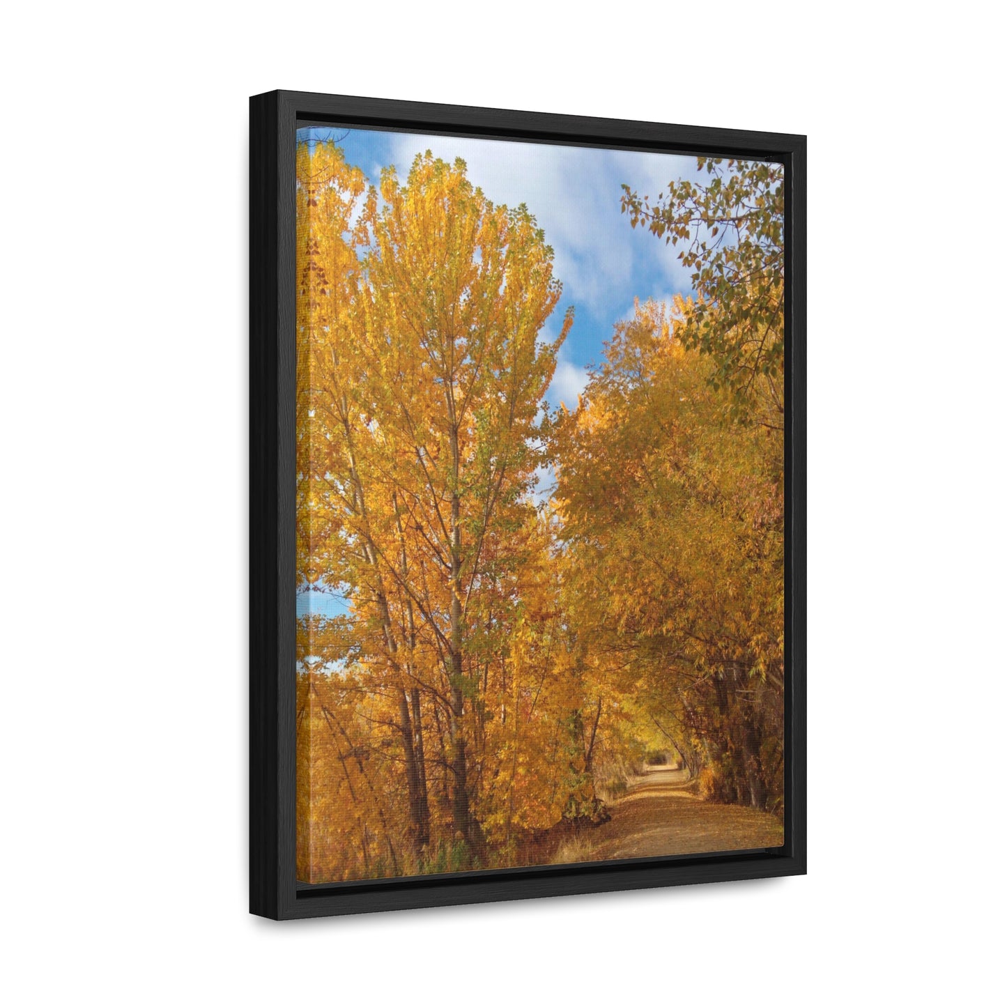 Autumn Trail Gallery Canvas Wraps Framed