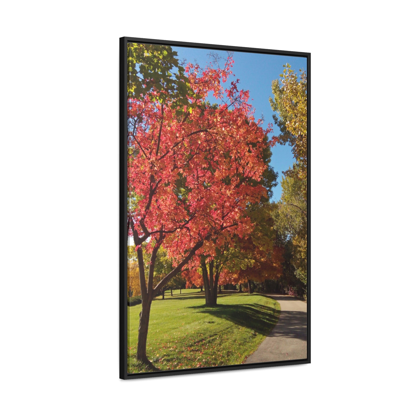 Autumn Glow Gallery Canvas Wraps Framed
