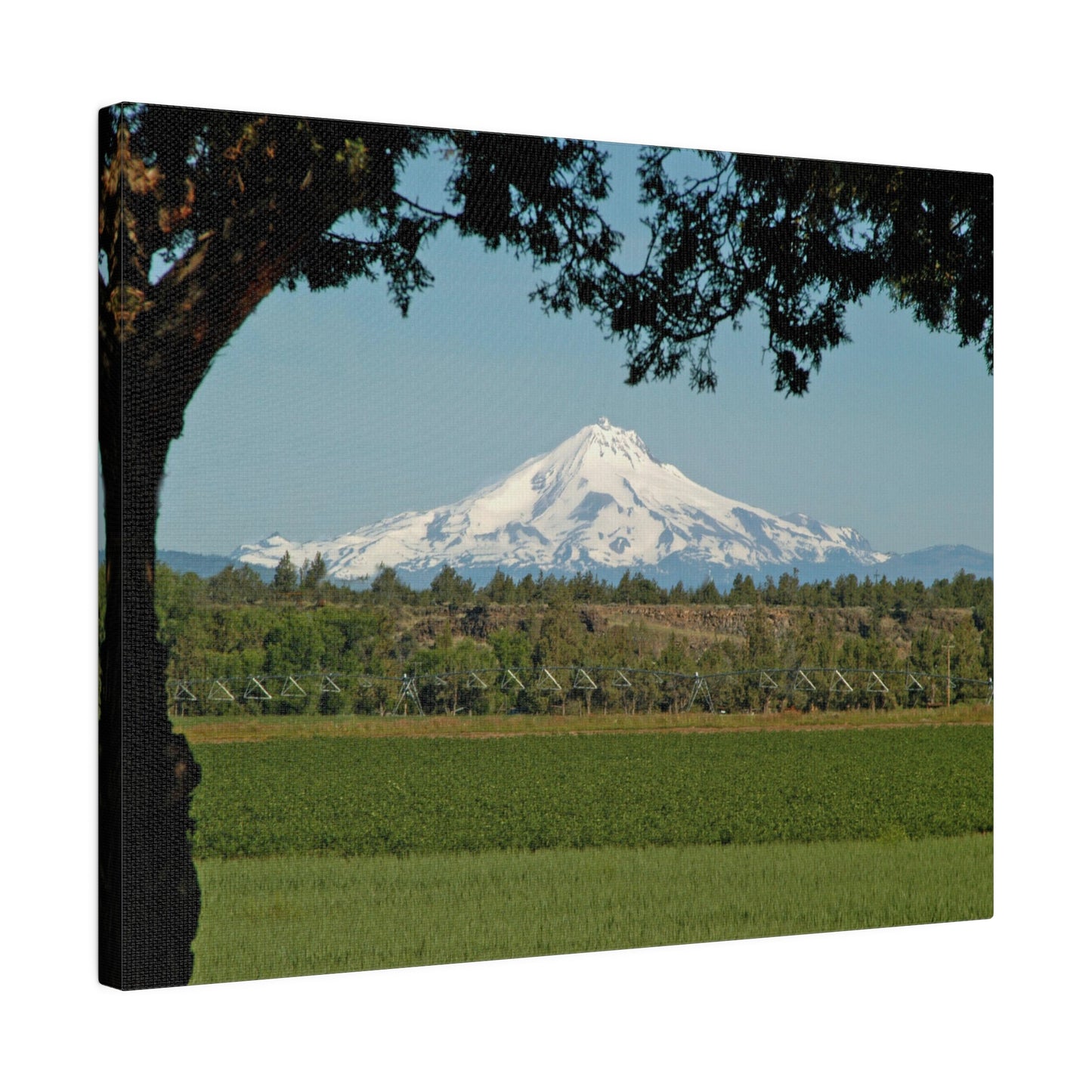 Juniper Framed Mountain Matte Canvas