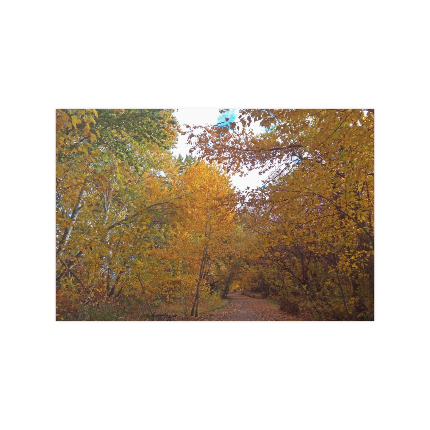 Autumn Lane Satin Posters