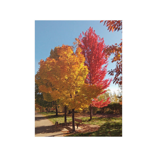 Autumn Bench Satin Posters