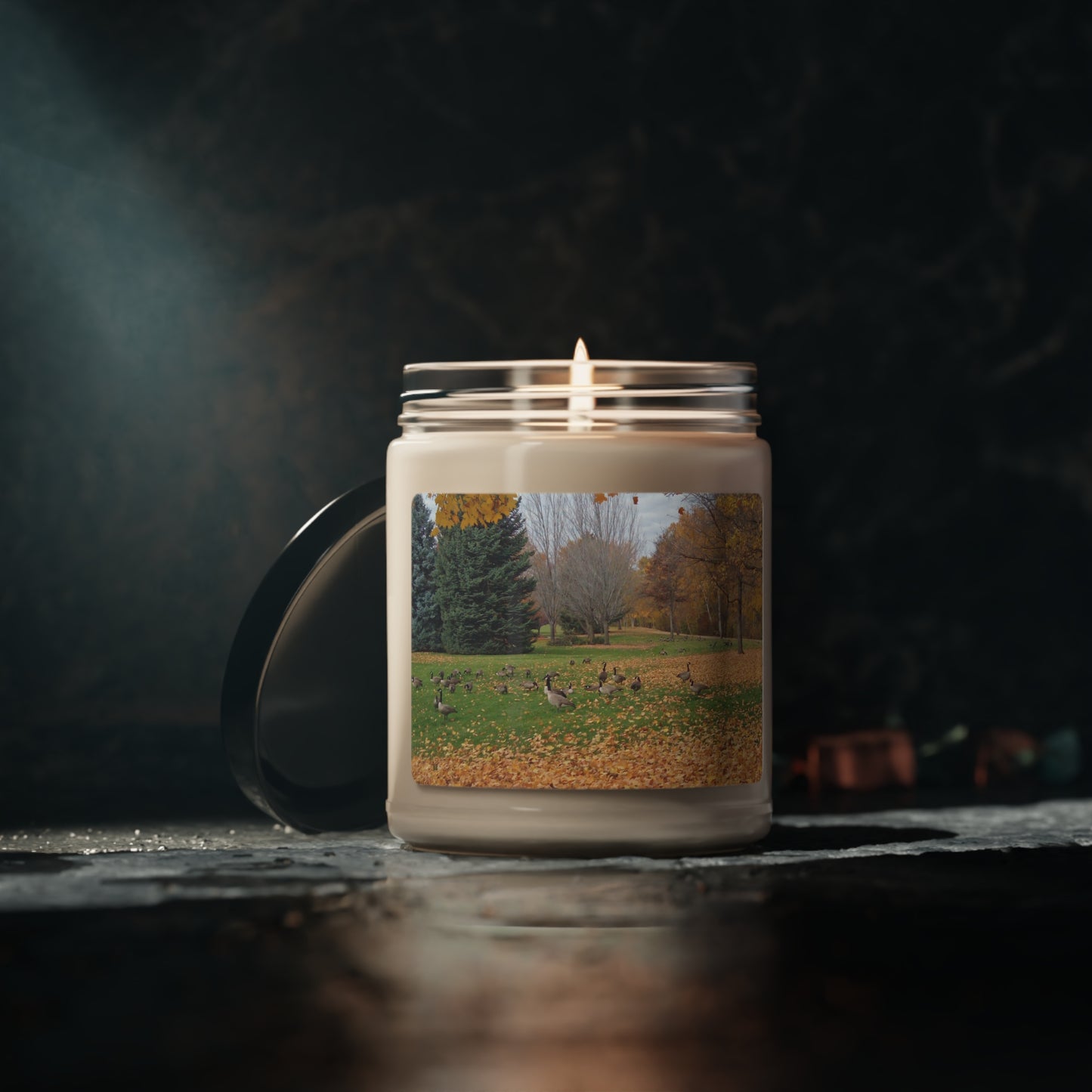 Autumn Geese Scented Soy Candle, 9oz