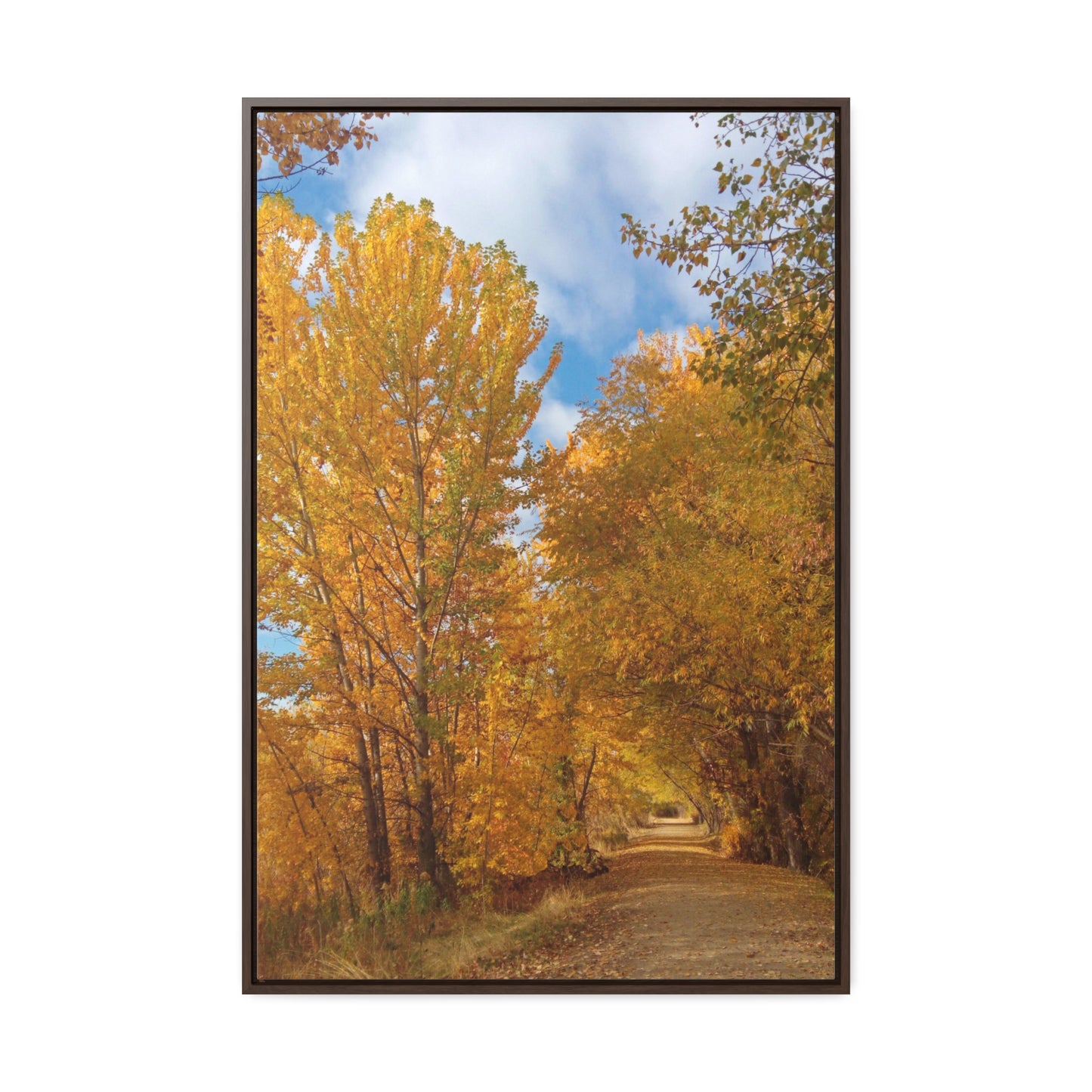 Autumn Trail Gallery Canvas Wraps Framed