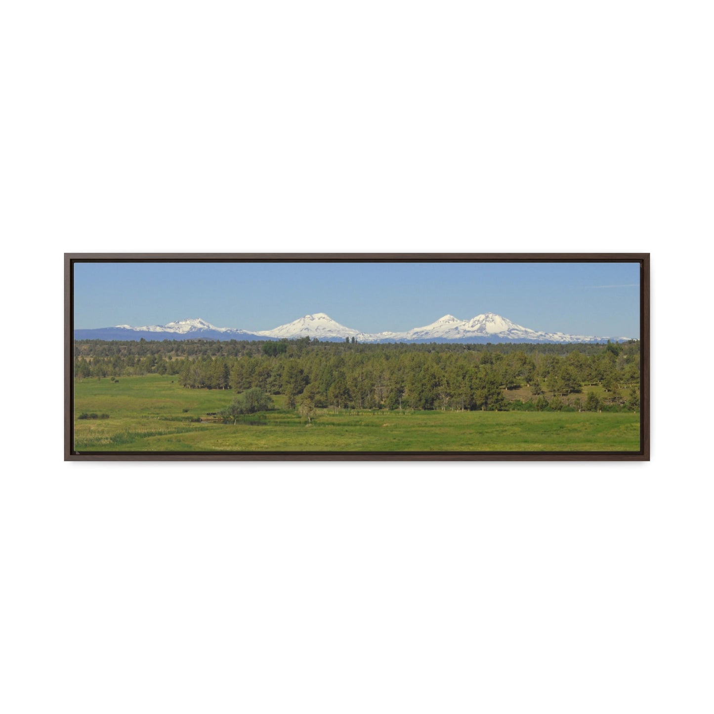 Mountain Meadow Gallery Canvas Wraps Panoramic Framed