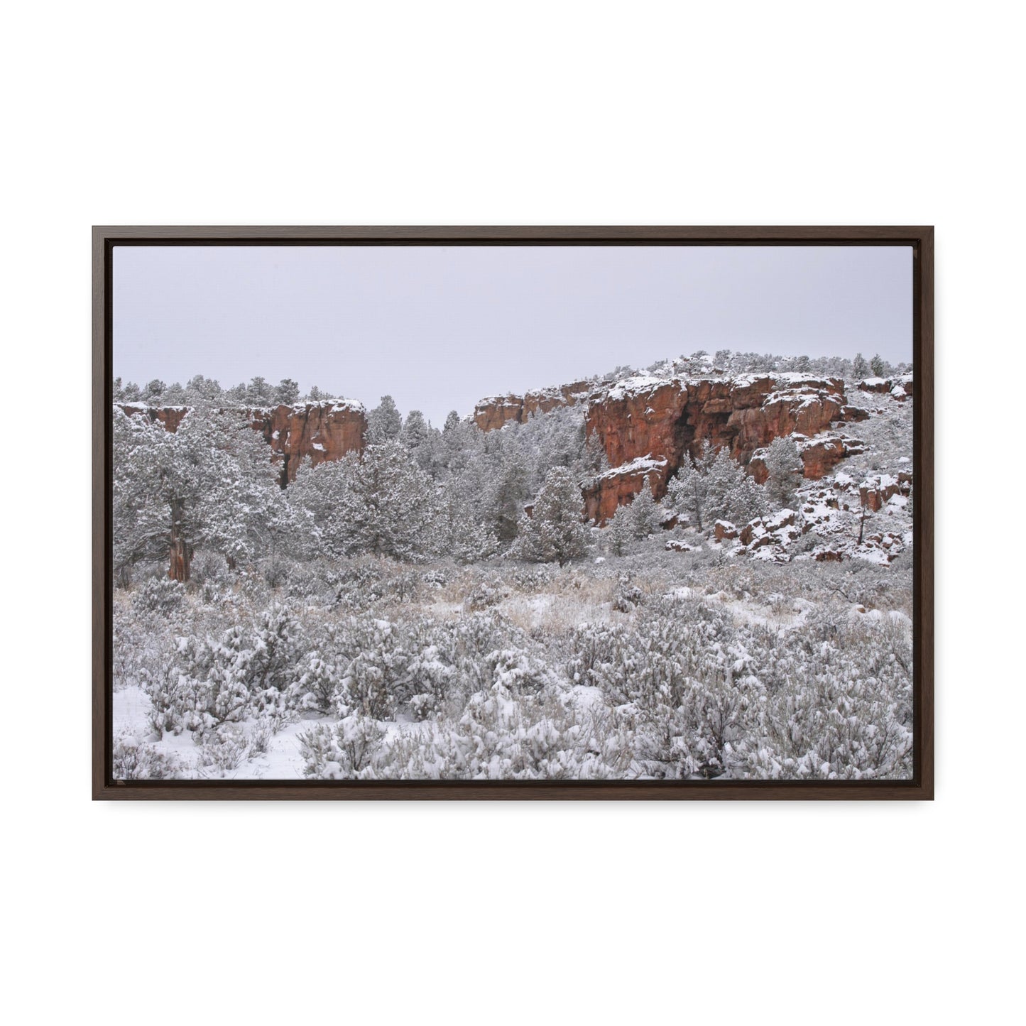 Winter Canyon Gallery Canvas Wraps Framed