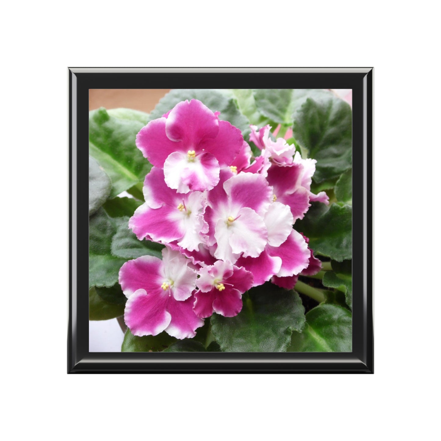 African Violet Jewelry Box ~ 7.24"