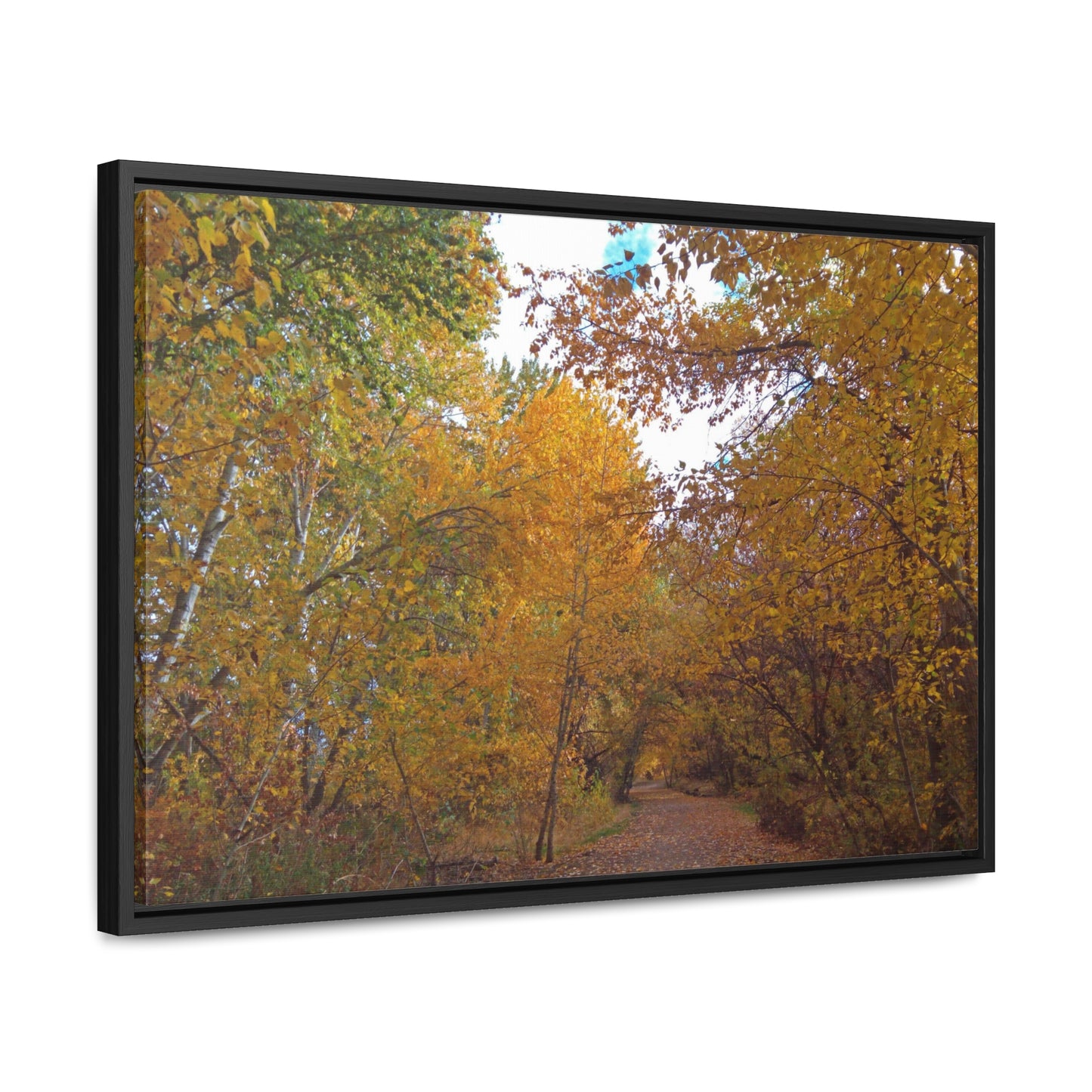 Autumn Lane Gallery Canvas Wraps Framed