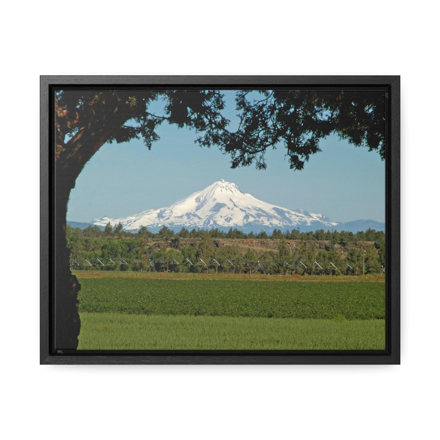 Juniper Framed Mountain Gallery Canvas Wraps Framed