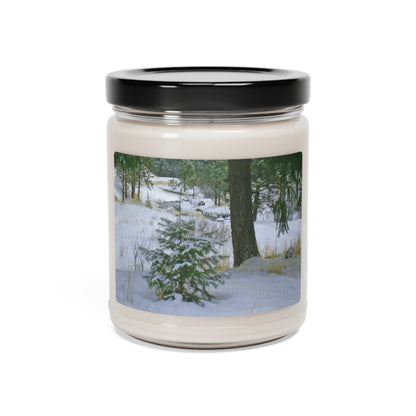 Christmas Tree Creek Scented Soy Candle, 9oz
