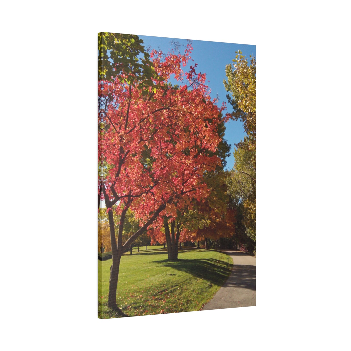 Autumn Glow Matte Canvas