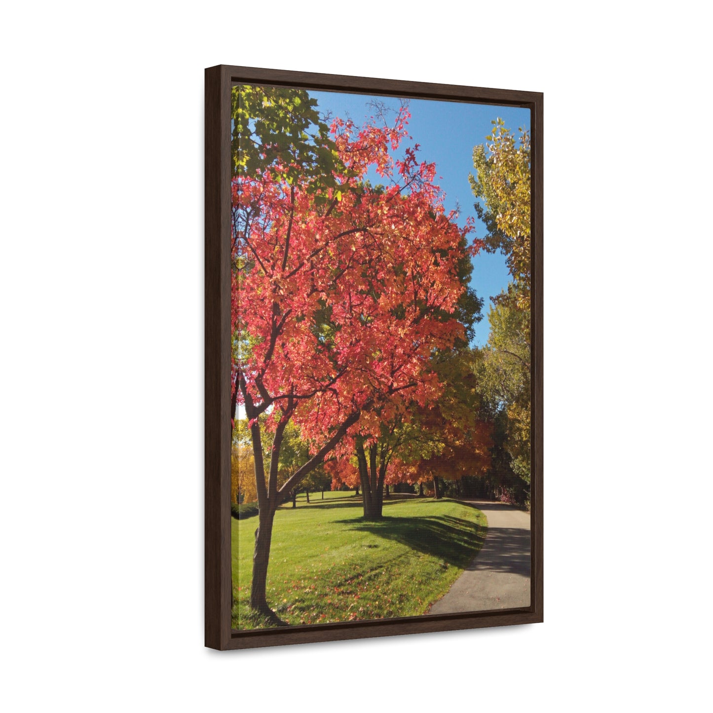 Autumn Glow Gallery Canvas Wraps Framed