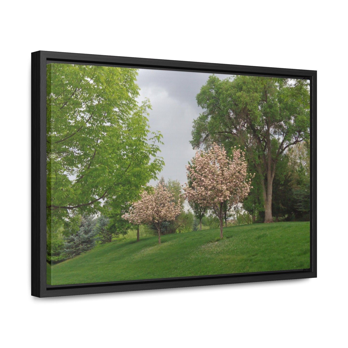 Spring In The Air Gallery Canvas Wraps Framed