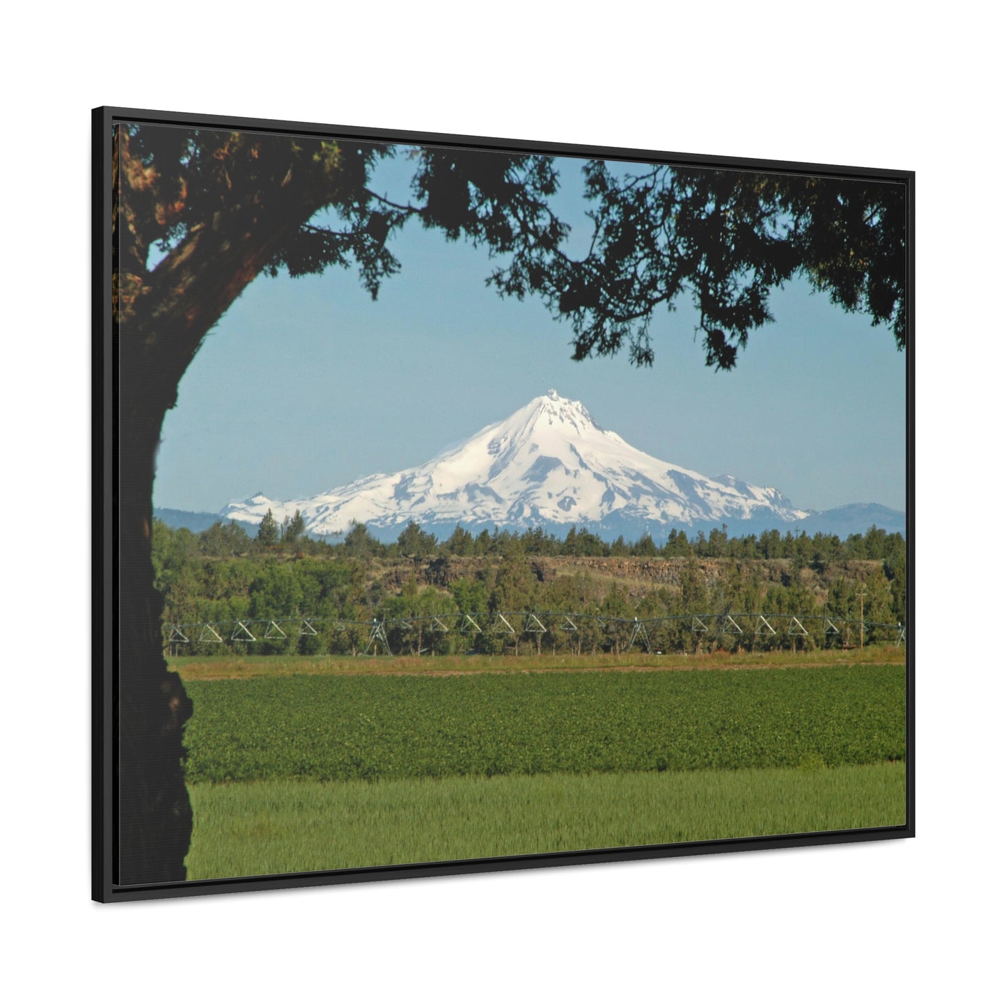 Juniper Framed Mountain Gallery Canvas Wraps Framed