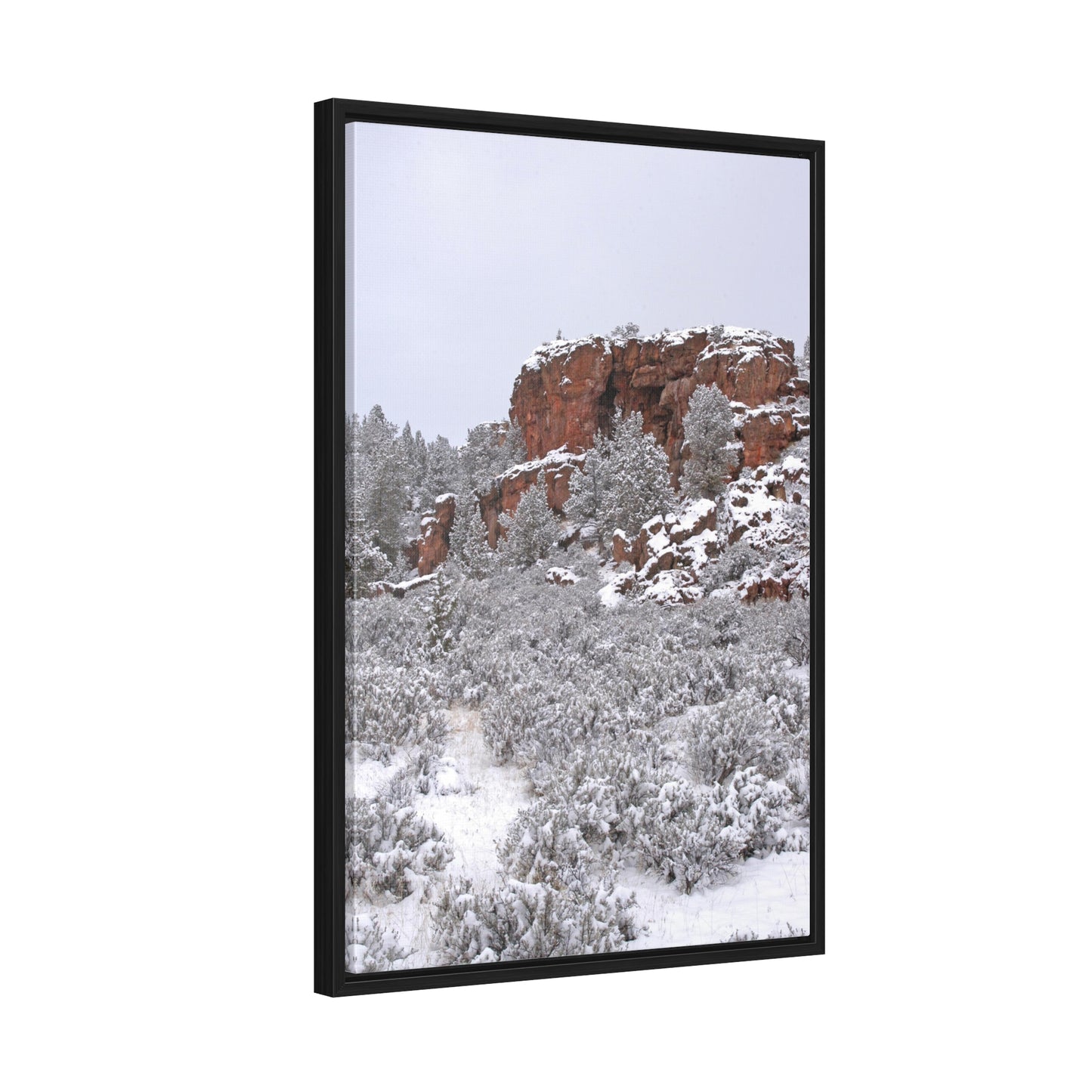 Winter Cliff Gallery Canvas Wraps Framed