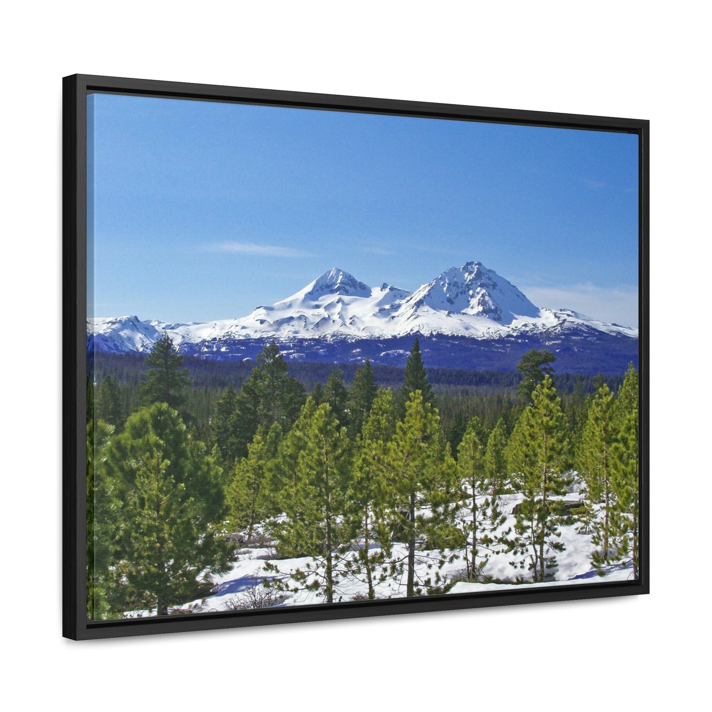 Winter Two Sisters Gallery Canvas Wraps Framed