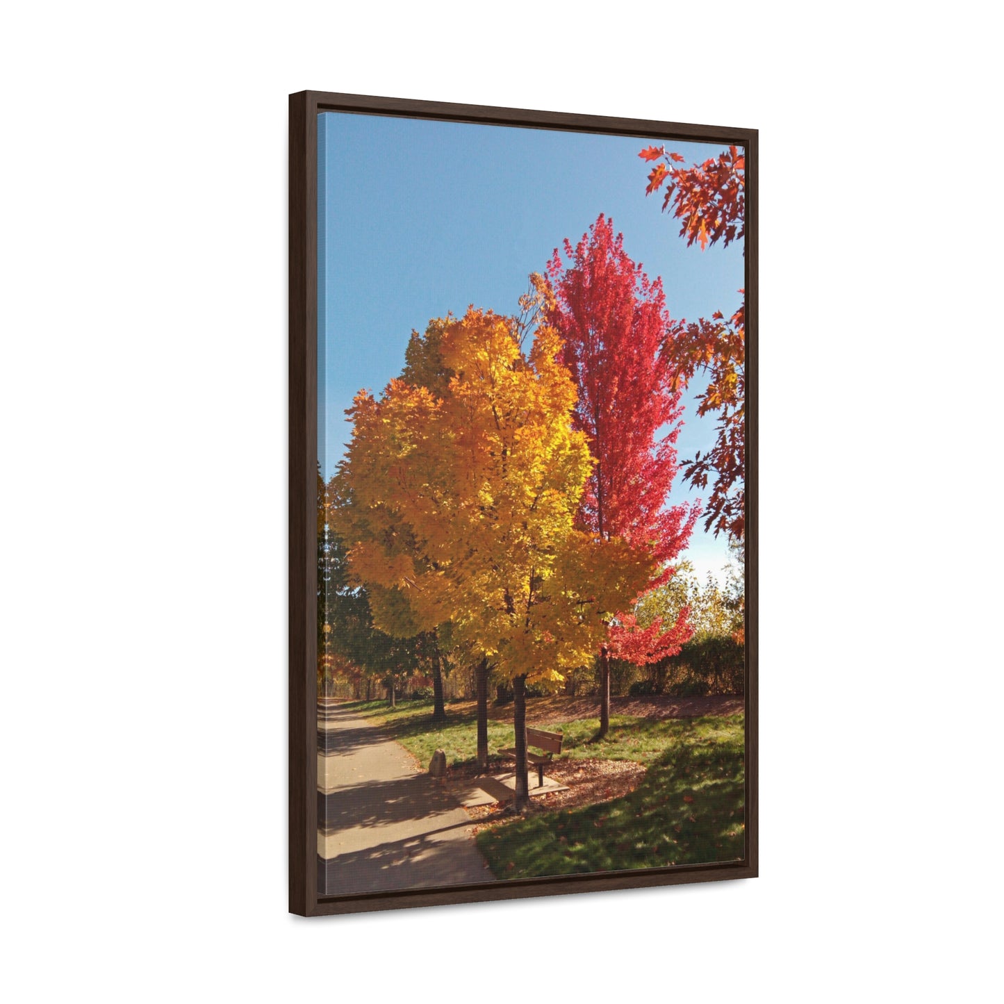 Autumn Bench Gallery Canvas Wraps Framed