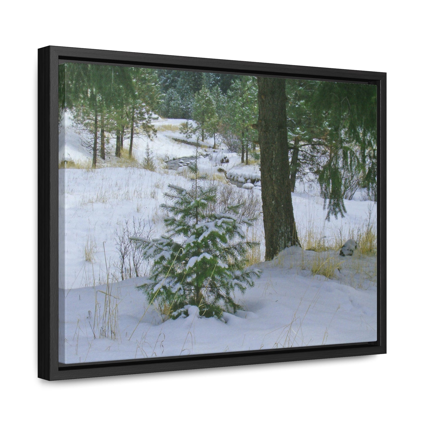 Christmas Tree Creek Gallery Canvas Wraps Framed