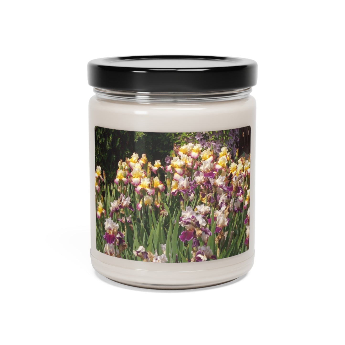 Sunny Iris Garden Scented Soy Candle, 9oz