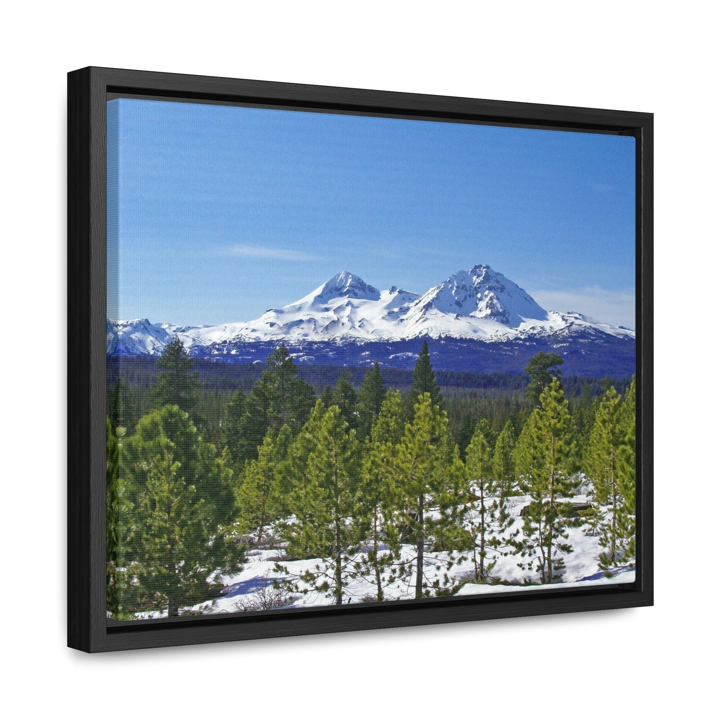 Winter Two Sisters Gallery Canvas Wraps Framed