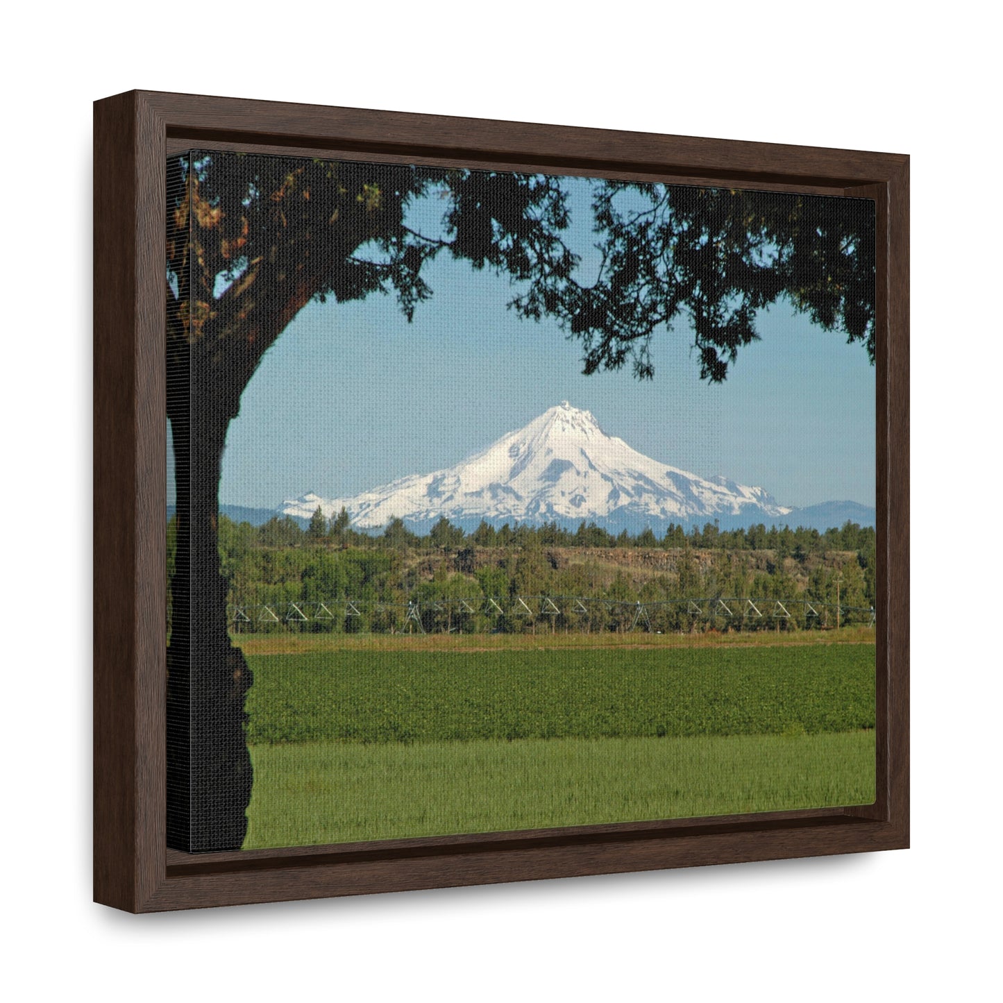 Juniper Framed Mountain Gallery Canvas Wraps Framed