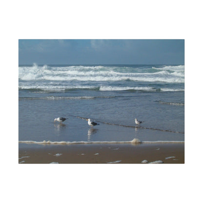 Seagulls and Waves Matte Canvas