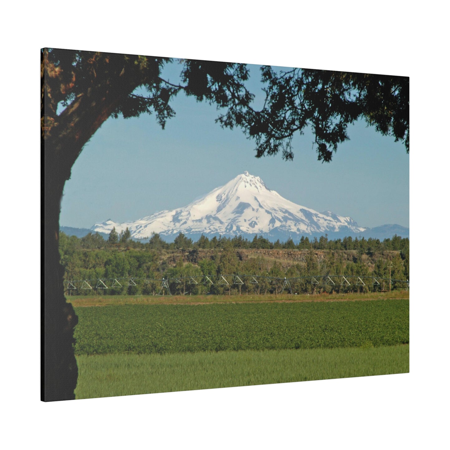 Juniper Framed Mountain Matte Canvas