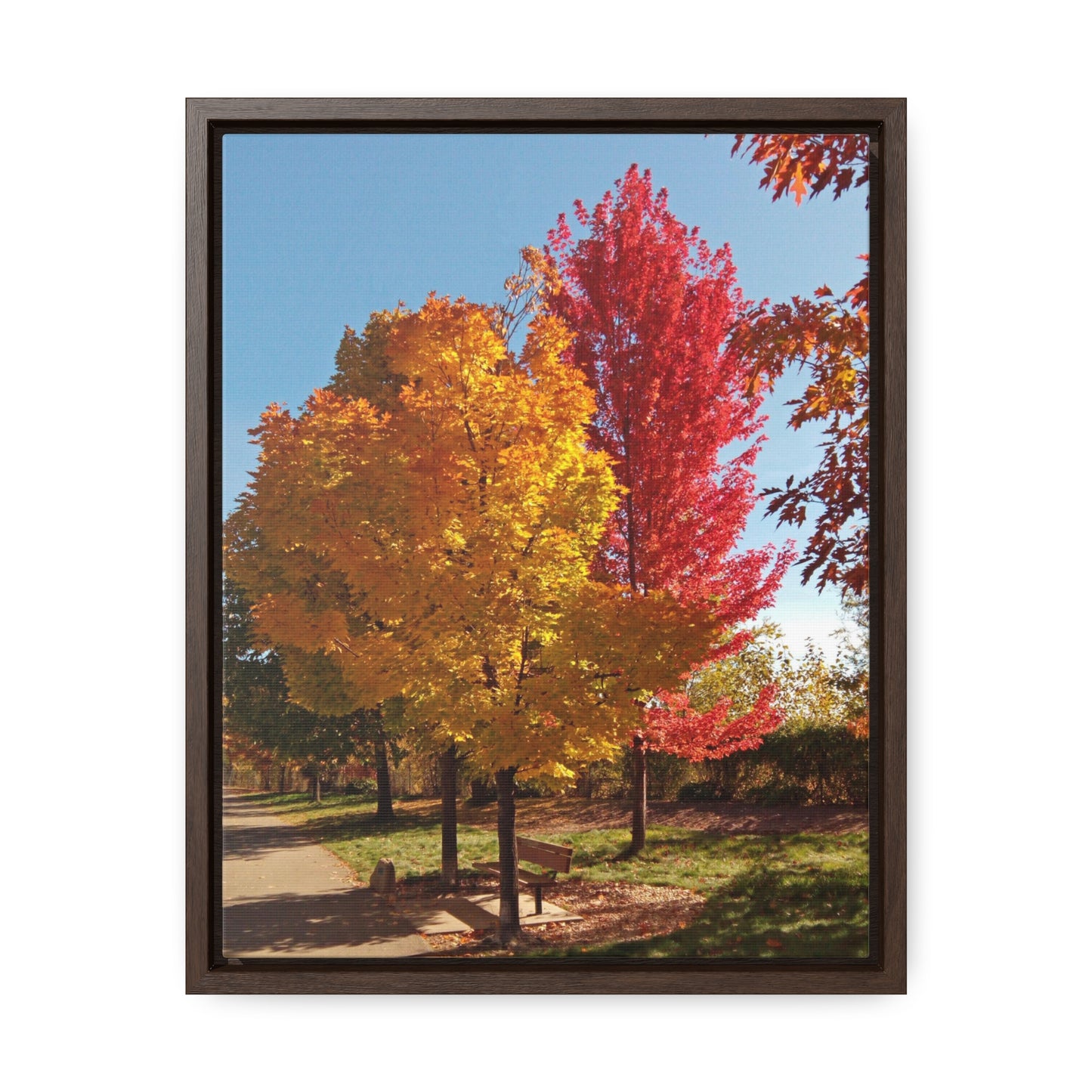 Autumn Bench Gallery Canvas Wraps Framed