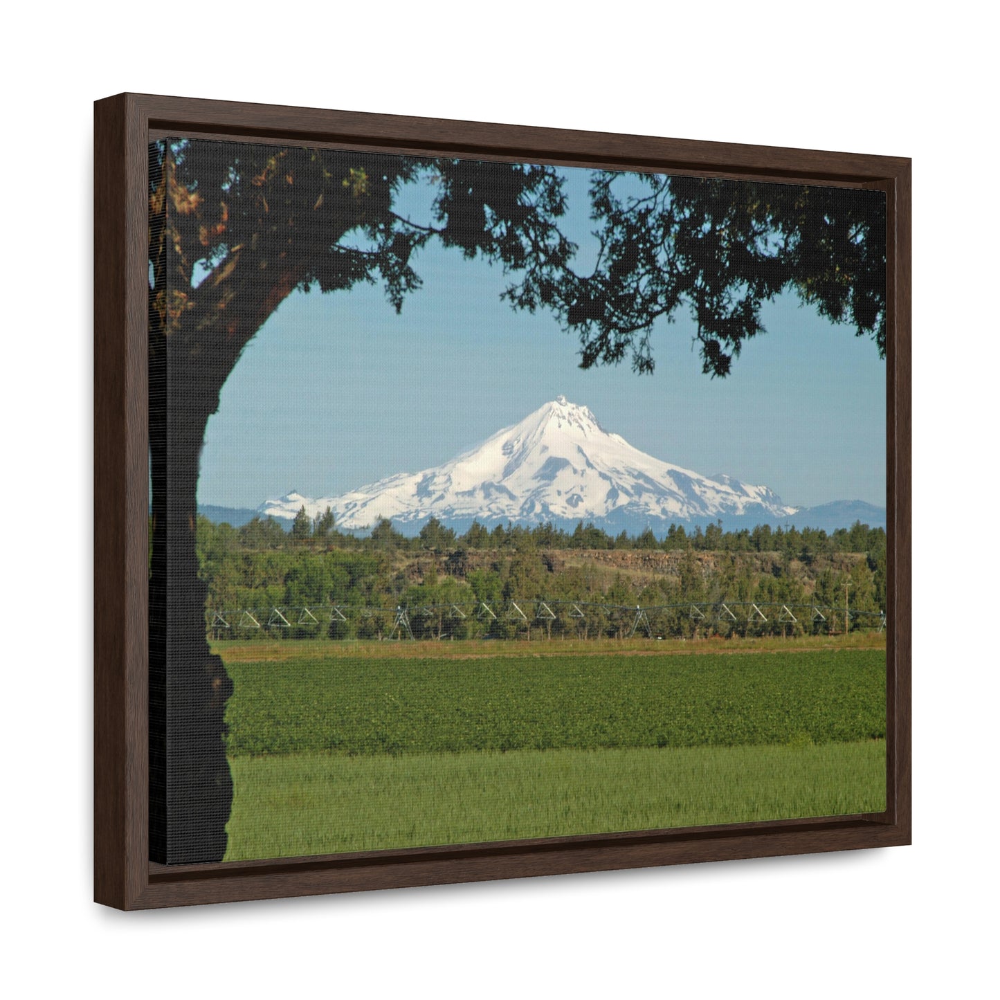 Juniper Framed Mountain Gallery Canvas Wraps Framed