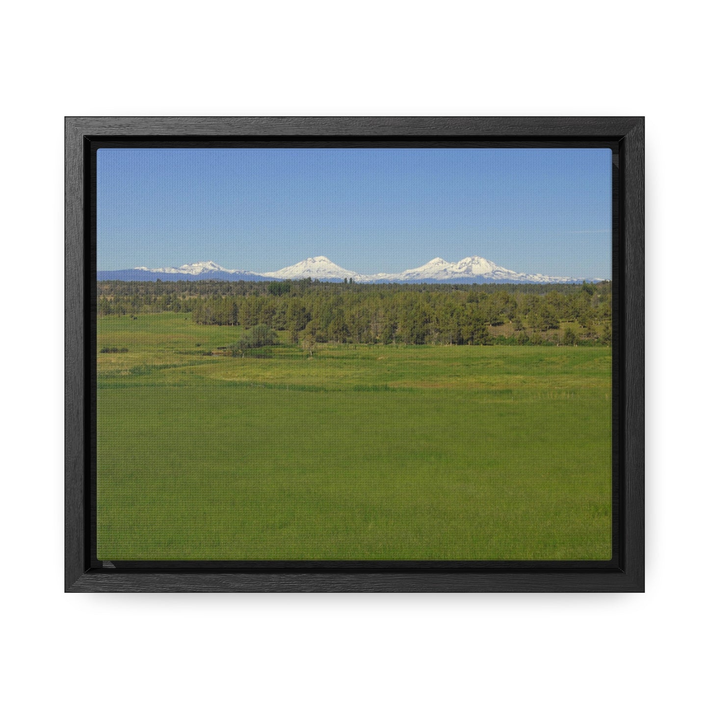 Mountain Meadow Gallery Canvas Wraps Framed