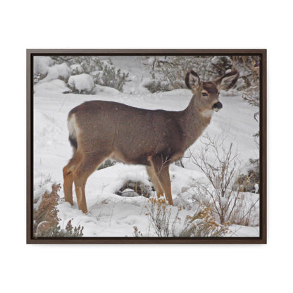 Snowy Deer Gallery Canvas Wraps Framed