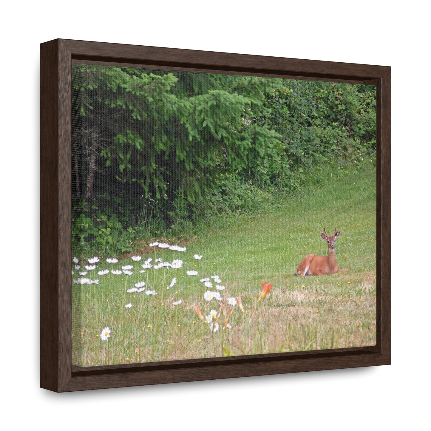 Peace In The Meadow Gallery Canvas Wraps Framed