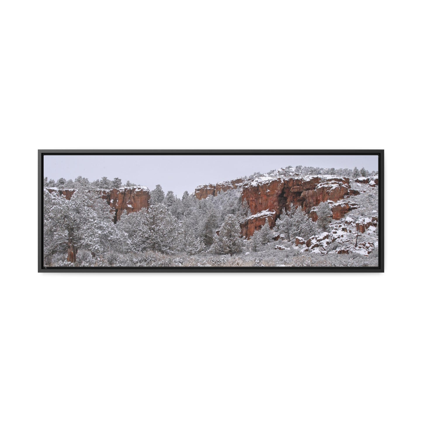 Winter Canyon Gallery Canvas Wraps Framed