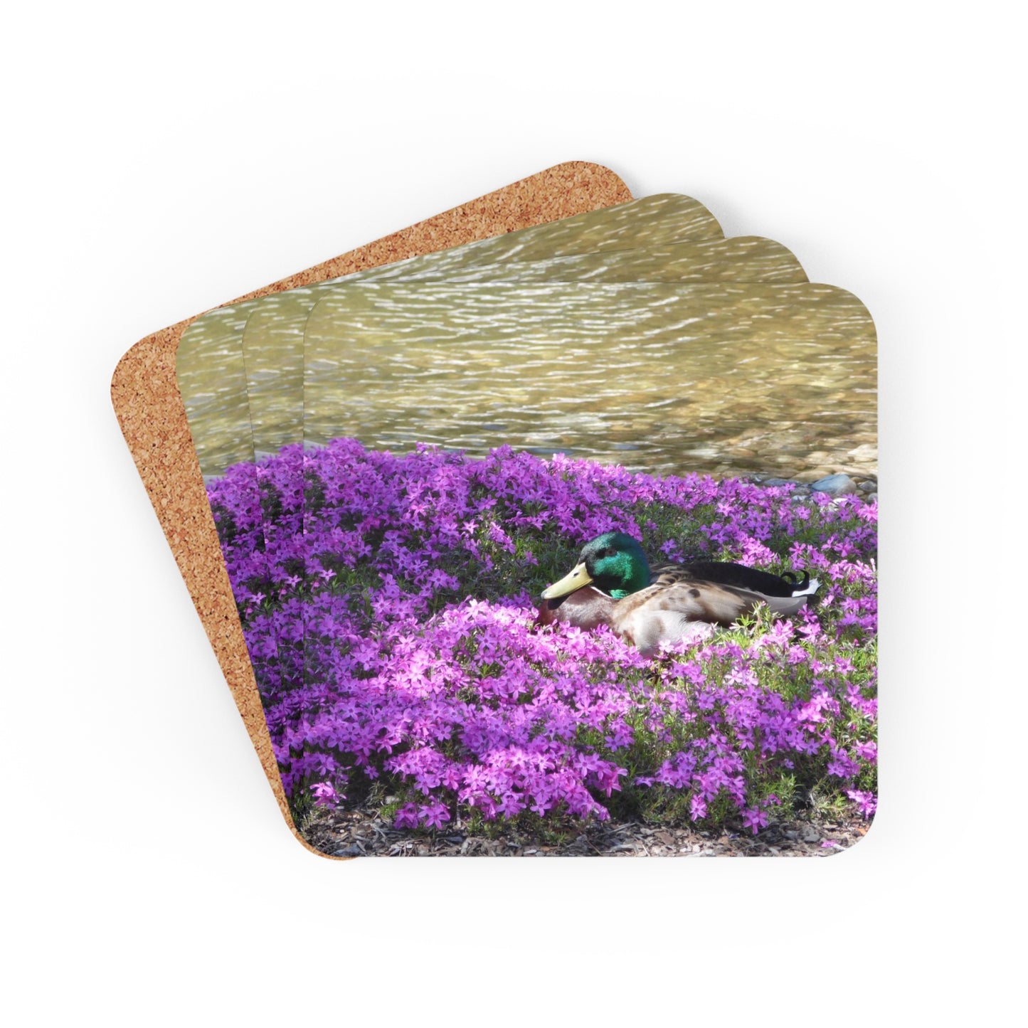 Duck Resting In Flowers Corkwood Coaster Set