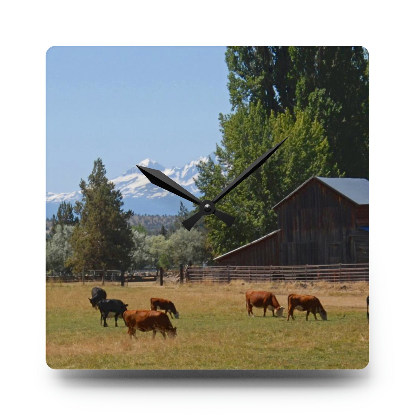 Picturesque Cattle Acrylic Wall Clock