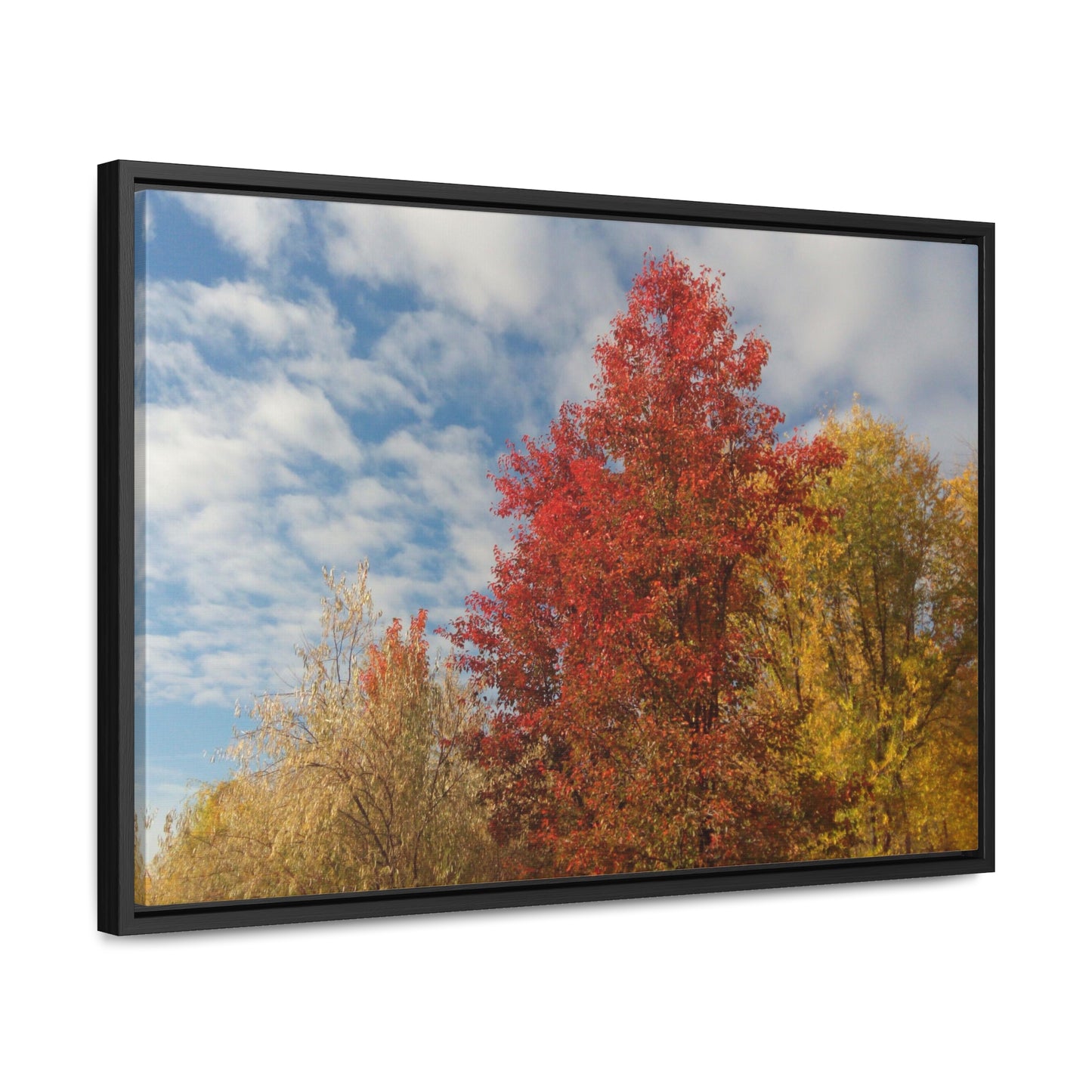 Autumn Sky Gallery Canvas Wraps Framed