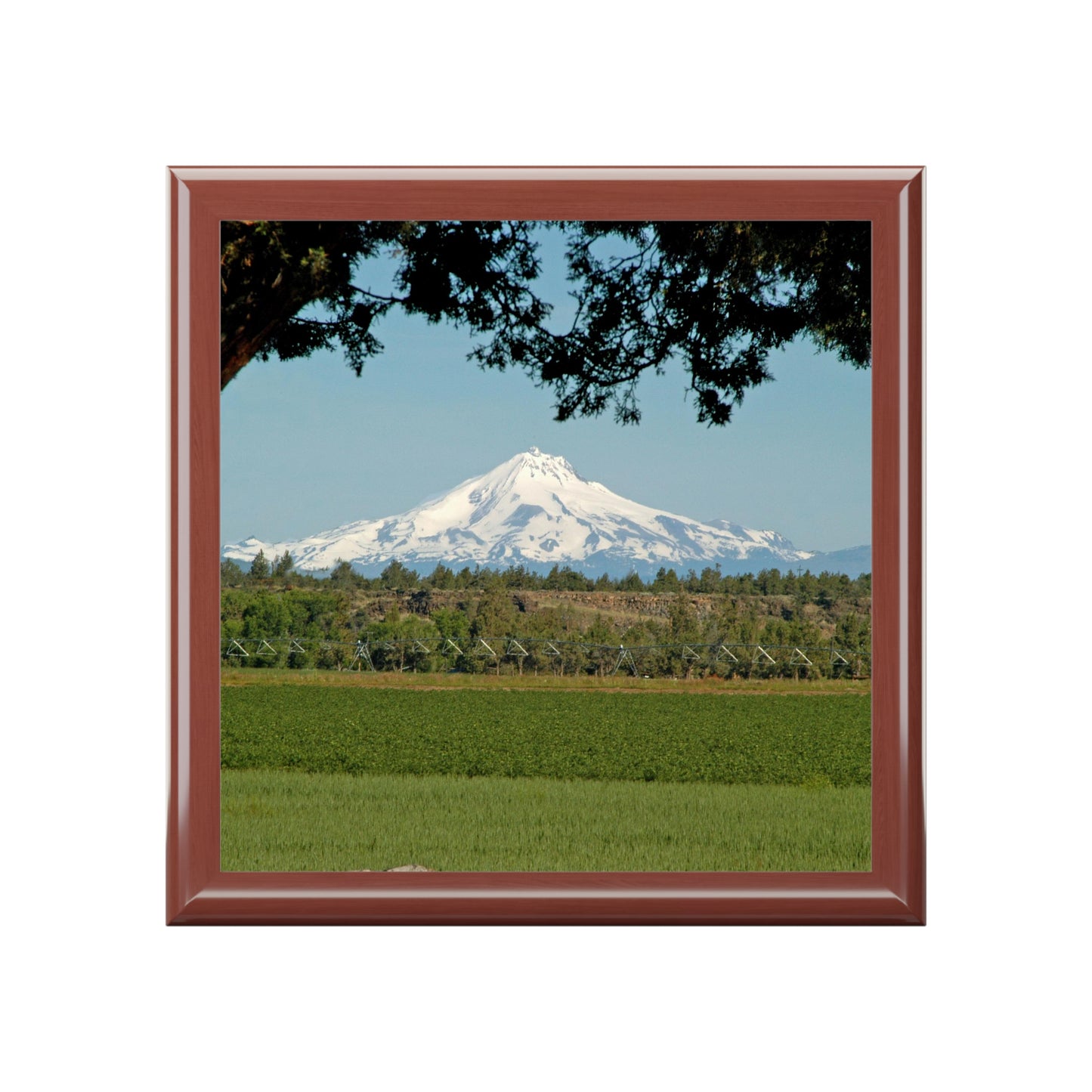 Juniper Framed Mountain Jewelry Box ~ 7.24"