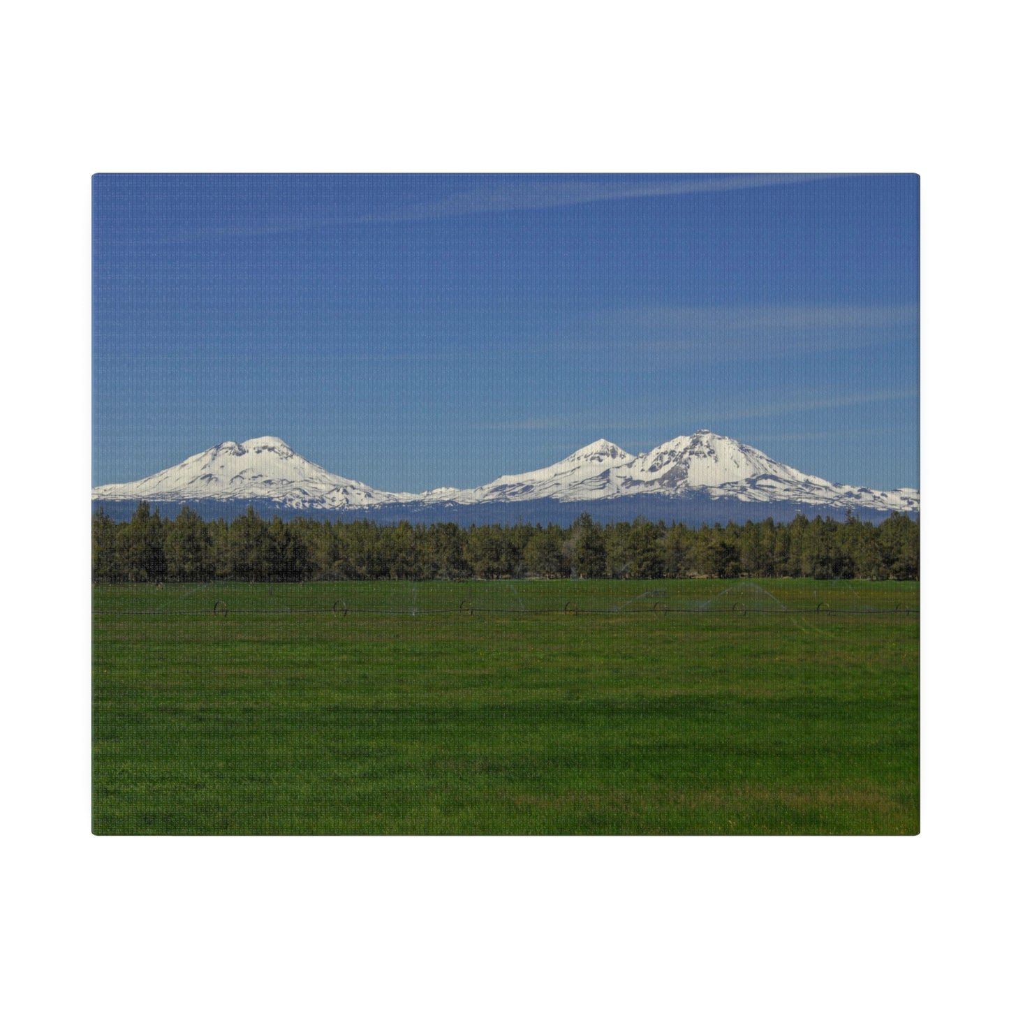 Mountain Field Matte Canvas