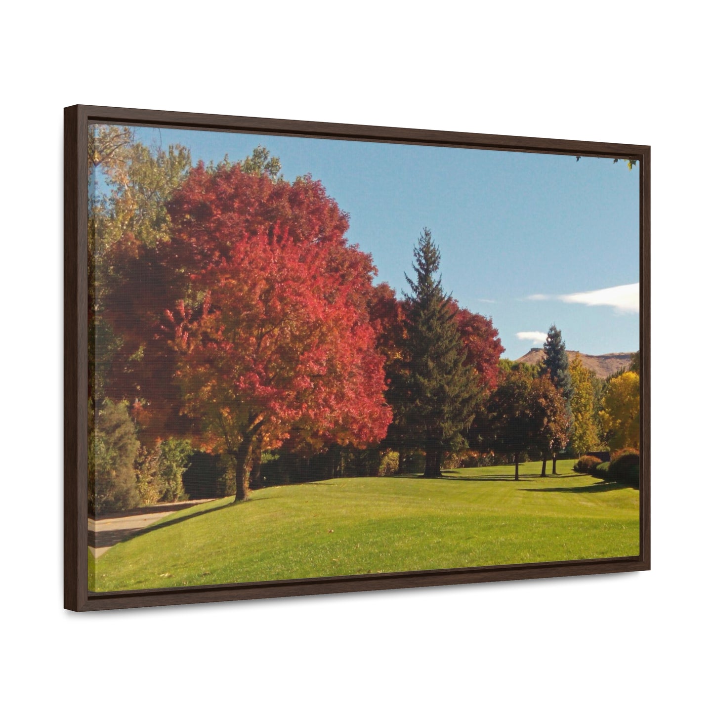 Autumn Lawn Gallery Canvas Wraps Framed