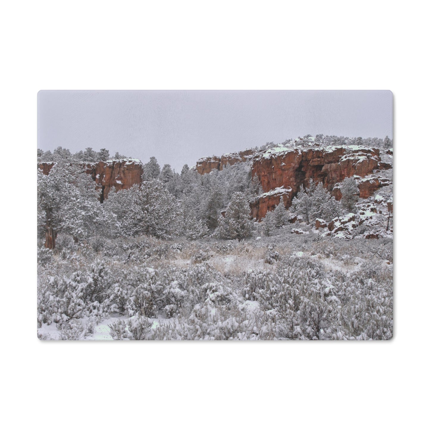Winter Canyon Cutting Board Dishwasher Safe