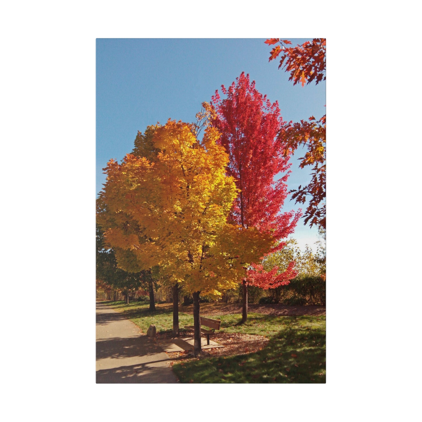 Autumn Bench Matte Canvas