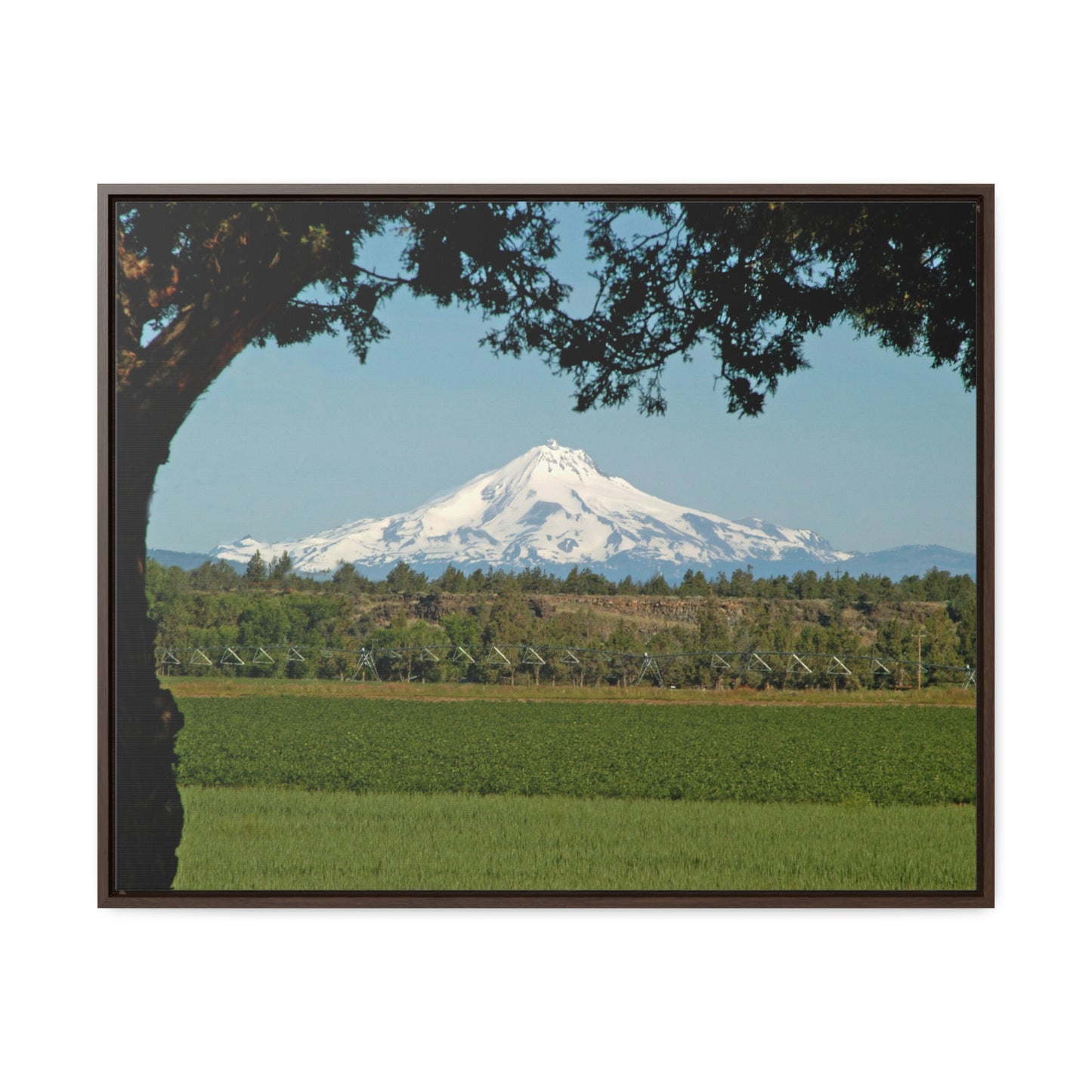 Juniper Framed Mountain Gallery Canvas Wraps Framed