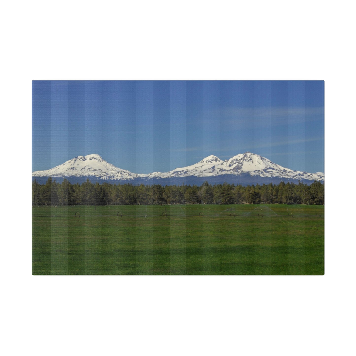 Mountain Field Matte Canvas