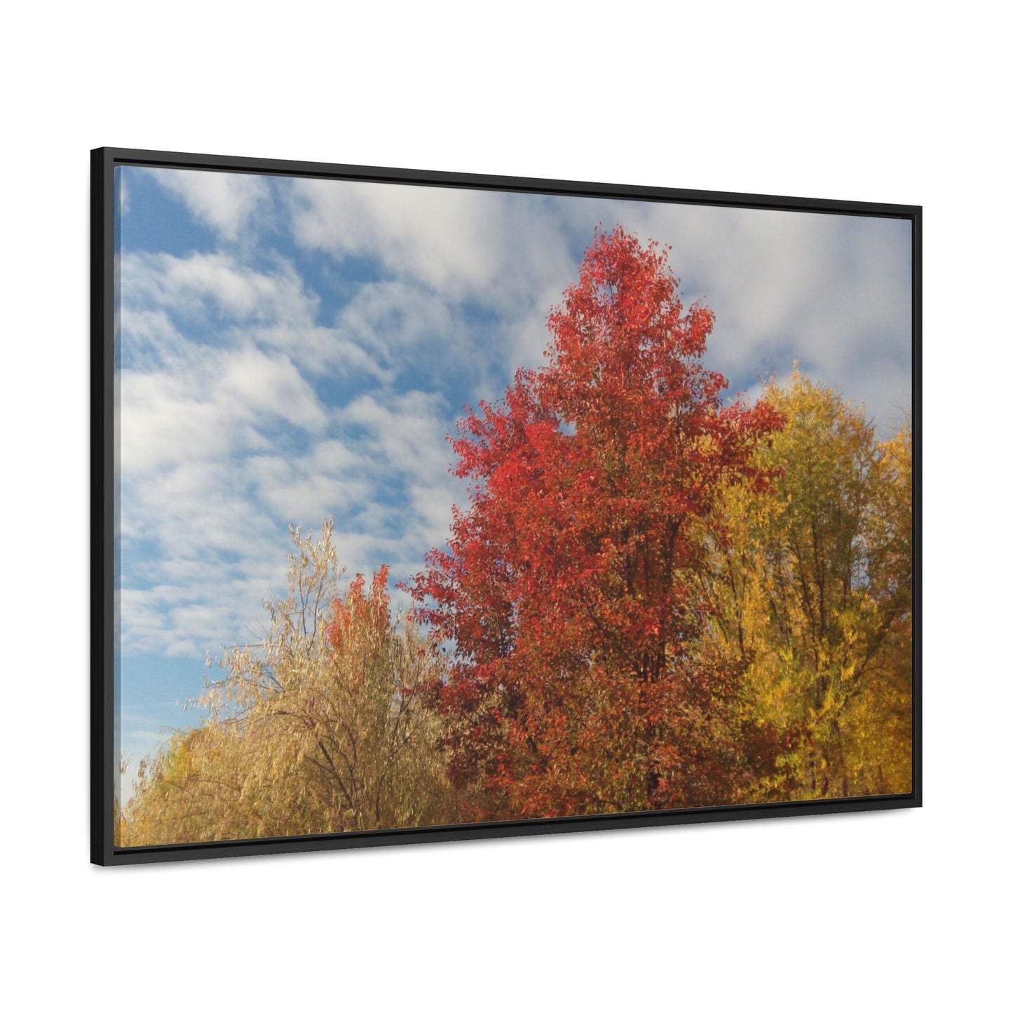 Autumn Sky Gallery Canvas Wraps Framed