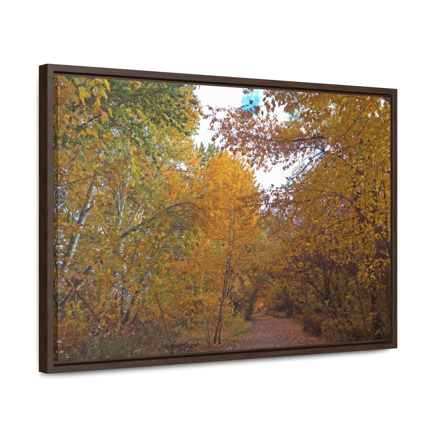 Autumn Lane Gallery Canvas Wraps Framed